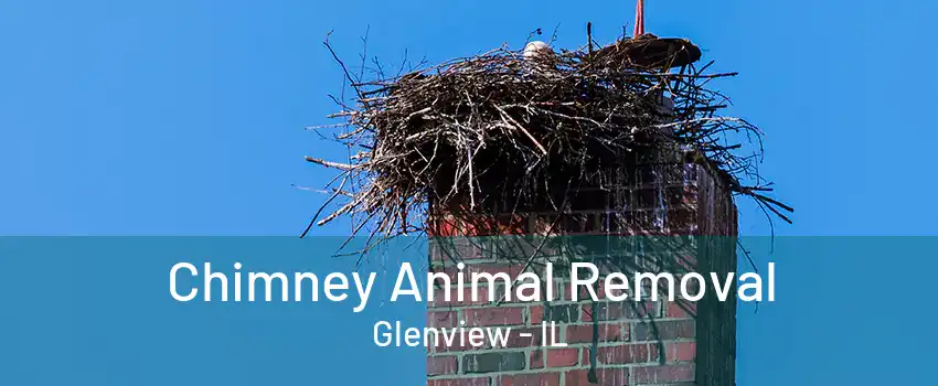 Chimney Animal Removal Glenview - IL