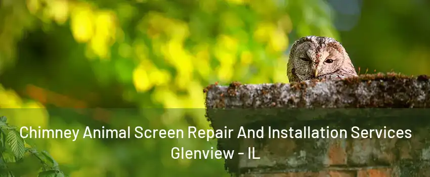 Chimney Animal Screen Repair And Installation Services Glenview - IL