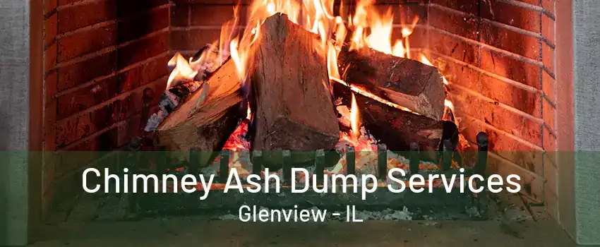 Chimney Ash Dump Services Glenview - IL