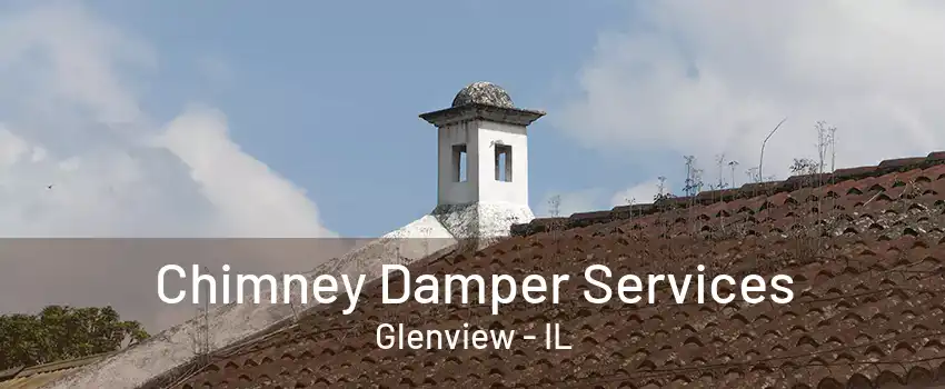 Chimney Damper Services Glenview - IL