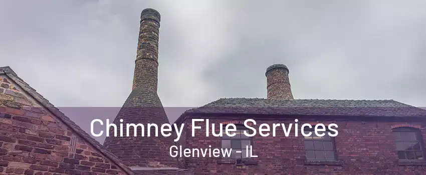 Chimney Flue Services Glenview - IL