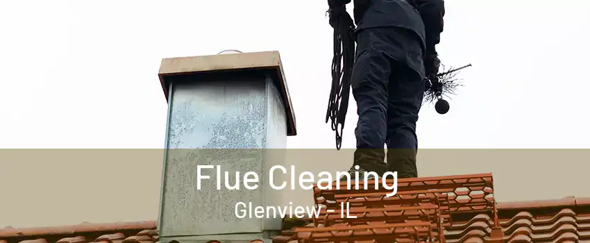 Flue Cleaning Glenview - IL