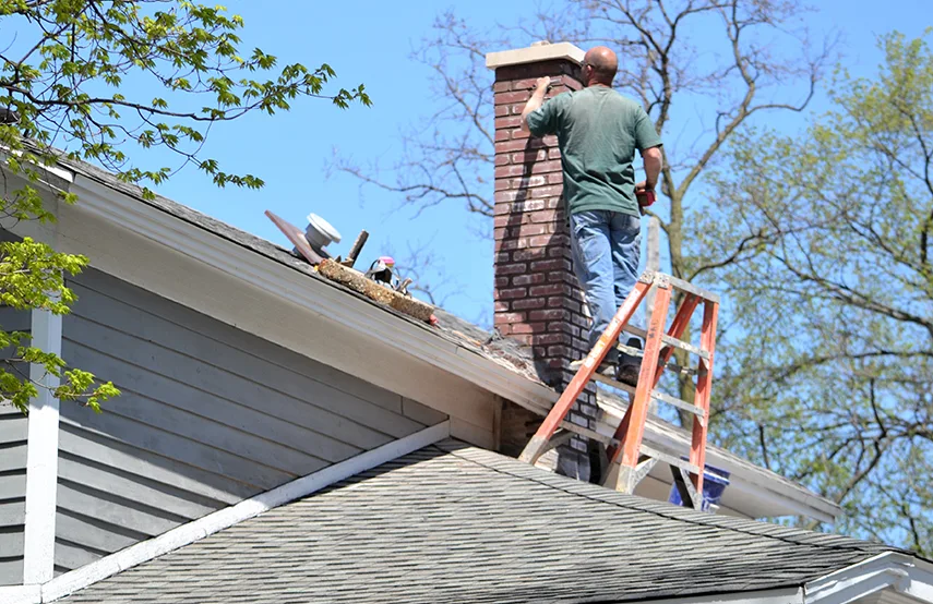 Chimney & Fireplace Inspections Services in Glenview, IL