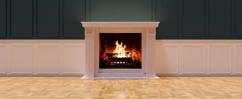 Napoleon Electric Fireplaces Inspection Service in Glenview, Illinois