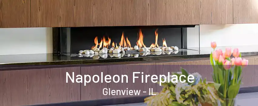 Napoleon Fireplace Glenview - IL