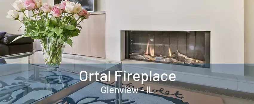 Ortal Fireplace Glenview - IL